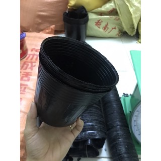 Bầu ươm cây 15*13(270 cái/kg)