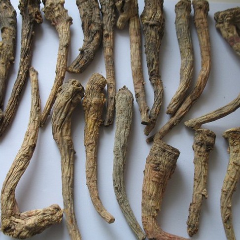 Tiền hồ khô thượng hạng JINDO 1kg