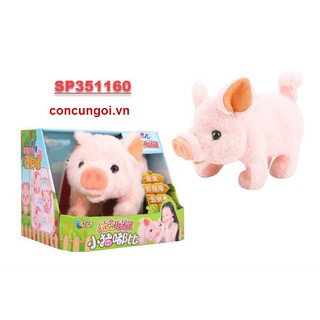 Heo con lông pin , q033