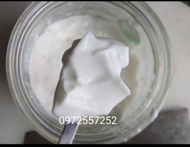 Kefir [NẤM KHOẺ] nấm sữa chua, water keffr nấm tây tạng hướng dẫn cách làm đến lúc thành công