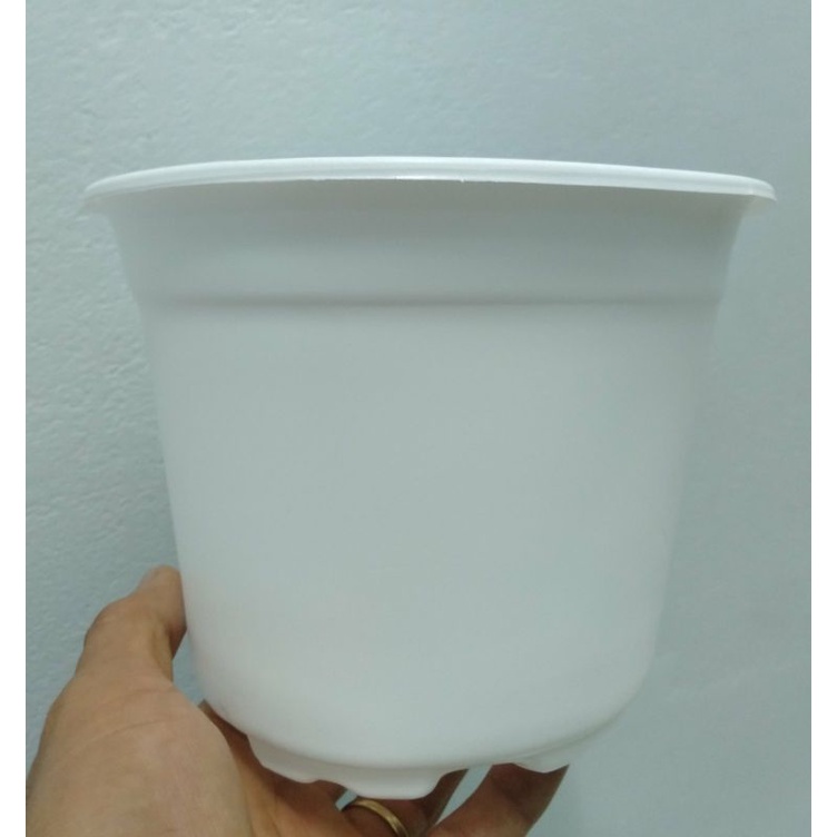 Chậu ươm cây đường kính 15cm