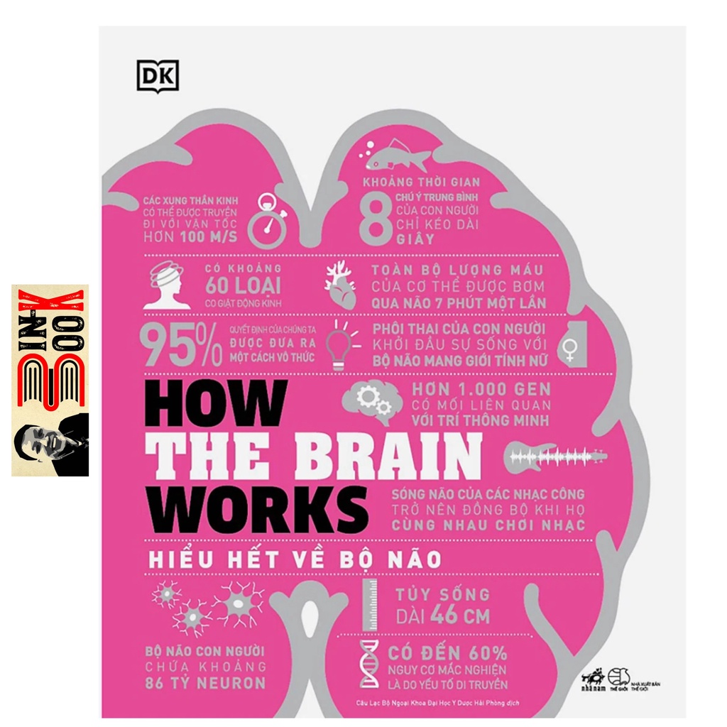 Sách Nhã Nam - How The Brain Works - Hiểu Hết Về Bộ Não (Bình Book) (Bìa cứng)