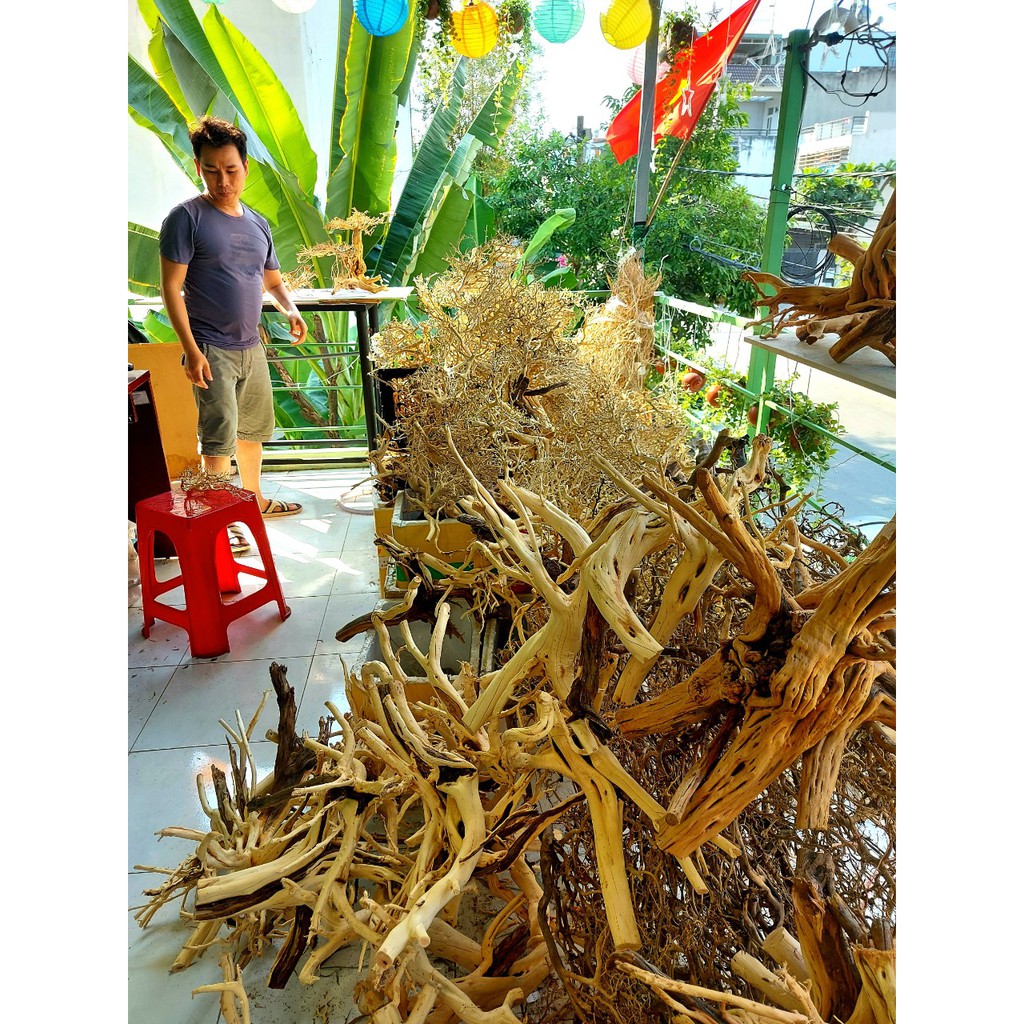 Lũa xương trùm, tán quýt dùng để tạo lũa dáng bonsai cho Bể Thuỷ Sinh, Bể Cá - 100g