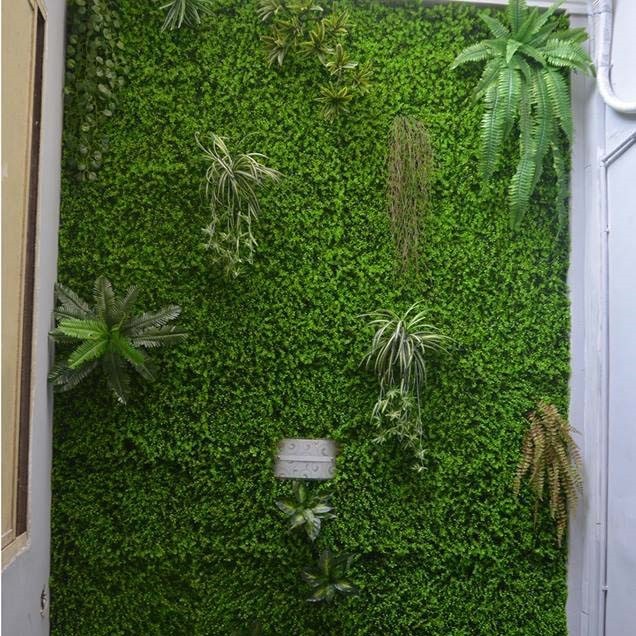 Cành Tóc Tiên Hoa rủ - Gắn tường cỏ giả, giỏ treo trang trí
