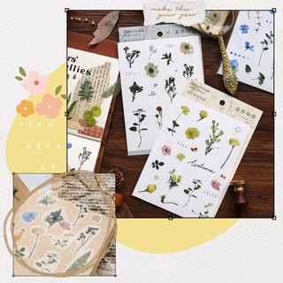 HÌNH DÁN STICKER TẤM PET THỰC VẬT - Tiệm Ngựa Gỗ