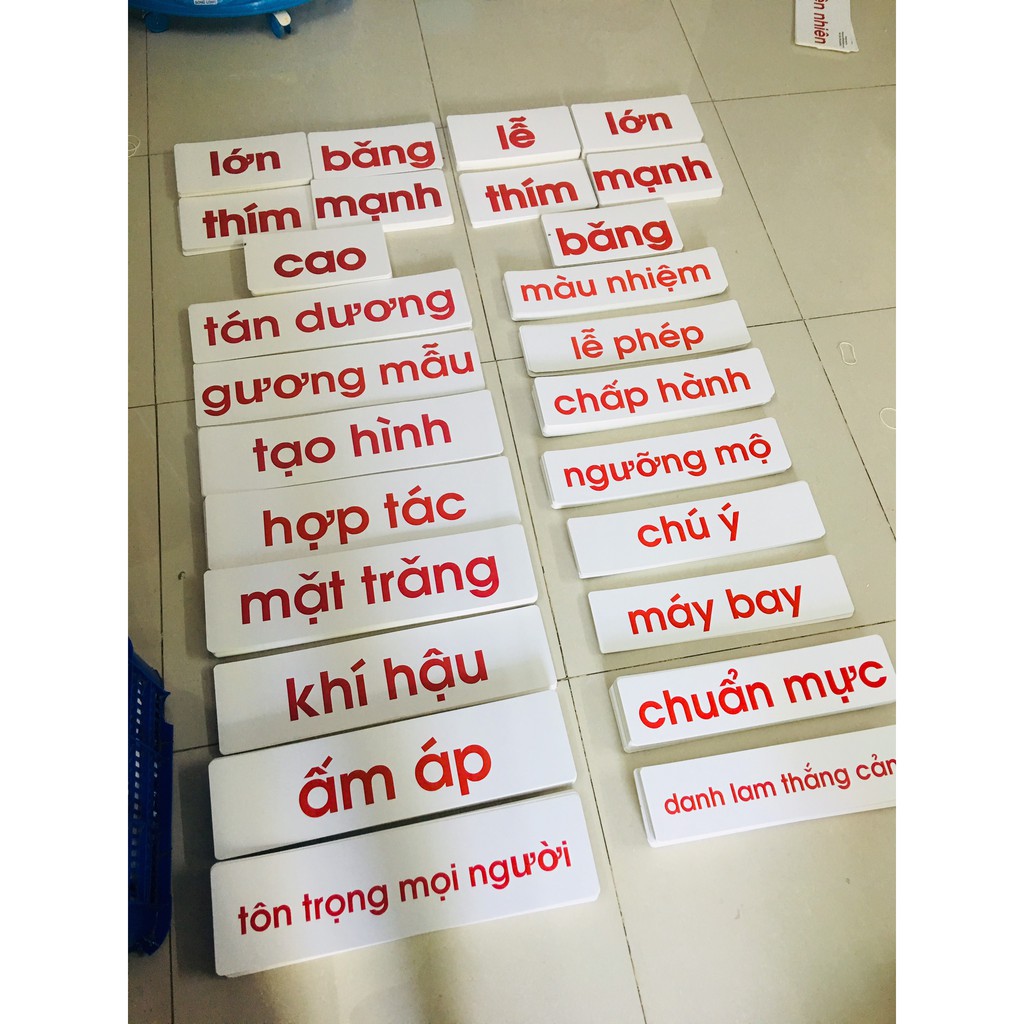 Flashcard bộ chữ các từ giống bộ nhập tâm của cửa sổ vàng flashcard từ đơn từ ghép cụm từ và câu