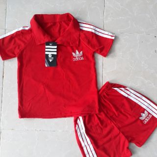 Combo Bộ cổ đức sang chảnh