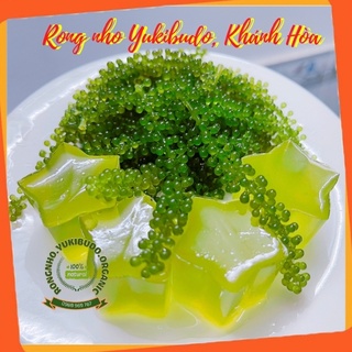 Rong Nho Tách Nước YUKIBUDO Organic Và Rong Nho KHÁNH HÒA, Loại 25g/ túi