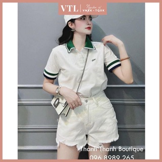 Áo polo cá sấu cổ xanh cao cấp