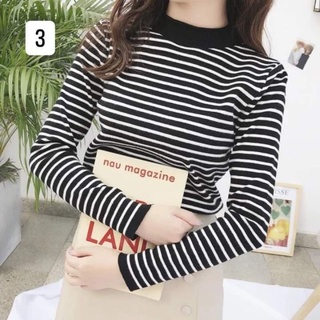 thảm xốp gấp gọn và áo len