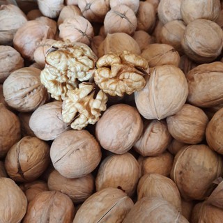 Bịch 500g Quả óc chó Mỹ nguyên vỏ mỏng