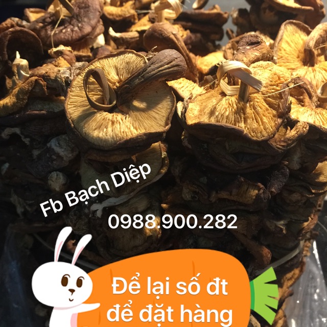 Nấm hương rừng Cao Bằng 0,5kg