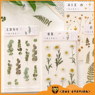 Sticker PET hình hoa lá trang trí sổ notebook/ craftbook DIY