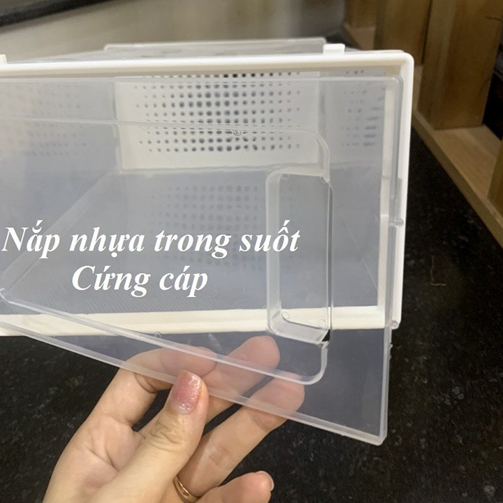 COMBO 10 Hộp Để Giày Dép Nắp Nhựa Cửa Ngang, Tủ Giày Lắp Ráp Thông Minh Cao Cấp