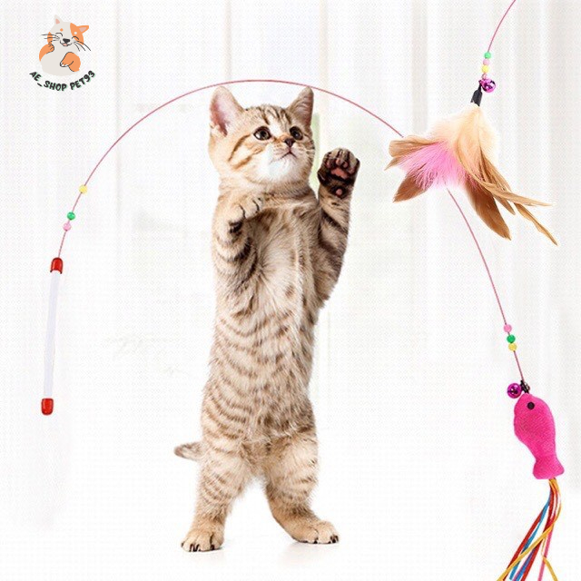 Đồ chơi mèo - Cần câu mèo dây thép gắn lông vũ