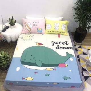 Bộ ga gối cotton 3D cho bé