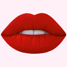 MÀU ĐỎ CAM TƯƠI