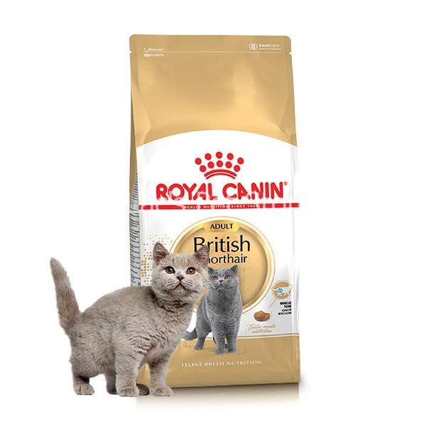 THỨC ĂN CHO MÈO ANH LÔNG NGẮN ROYAL CANIN BRITISH SHORTHAIR- Thaivucattery