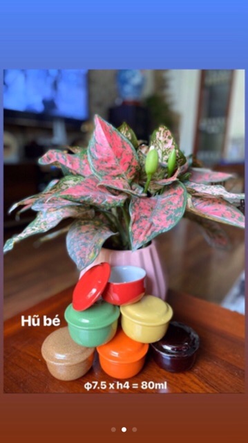 10 cốc làm caramen