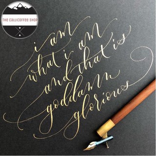 Ngòi luyện viết calligraphy - Leonardt Hiro 40
