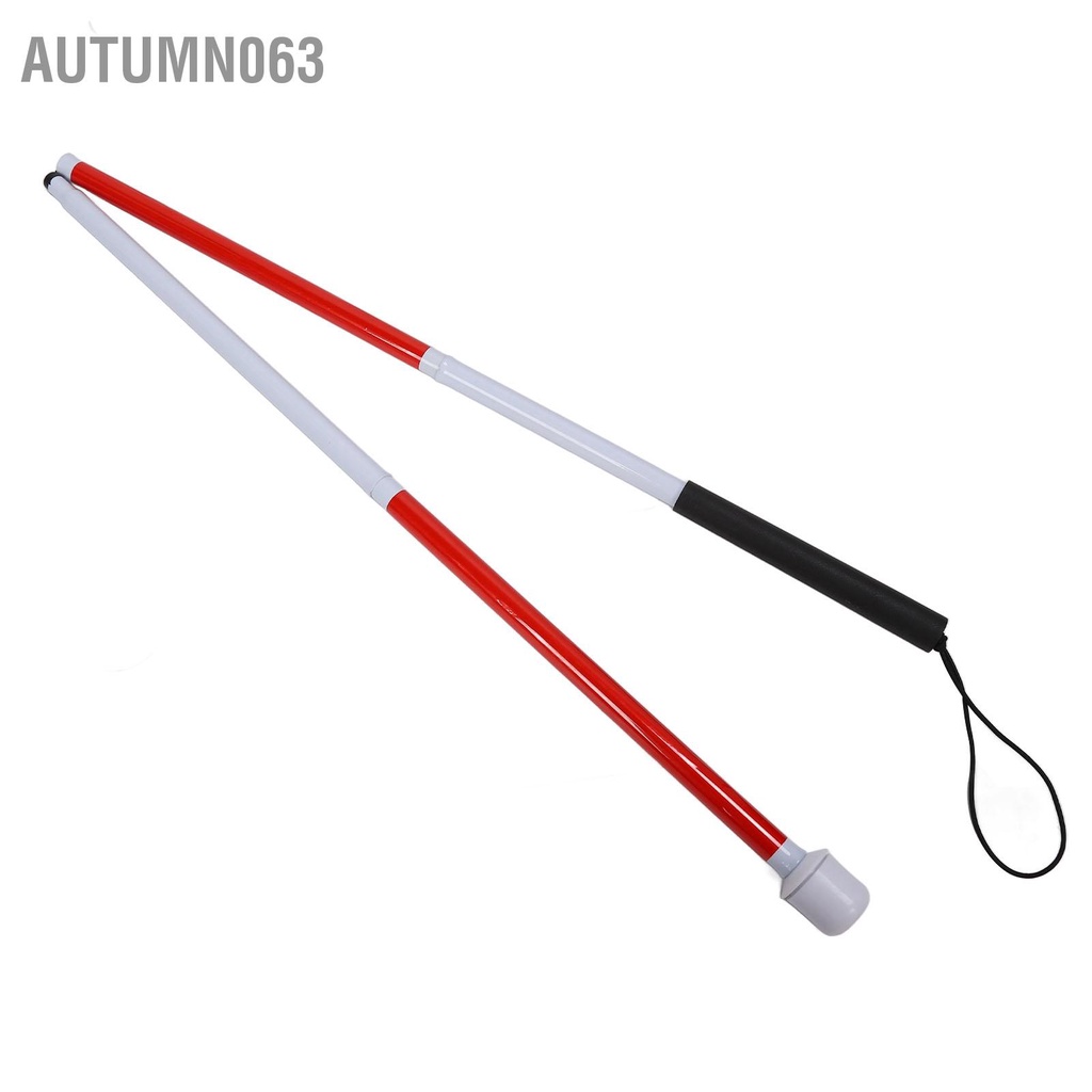 Hướng dẫn mù Gậy đi bộ gấp di động hợp kim nhôm dành cho người khiếm thị và Autumn063
