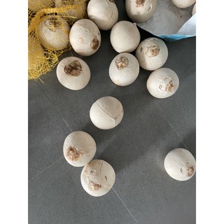 Dừa xiêm Bến Tre gọt trọc