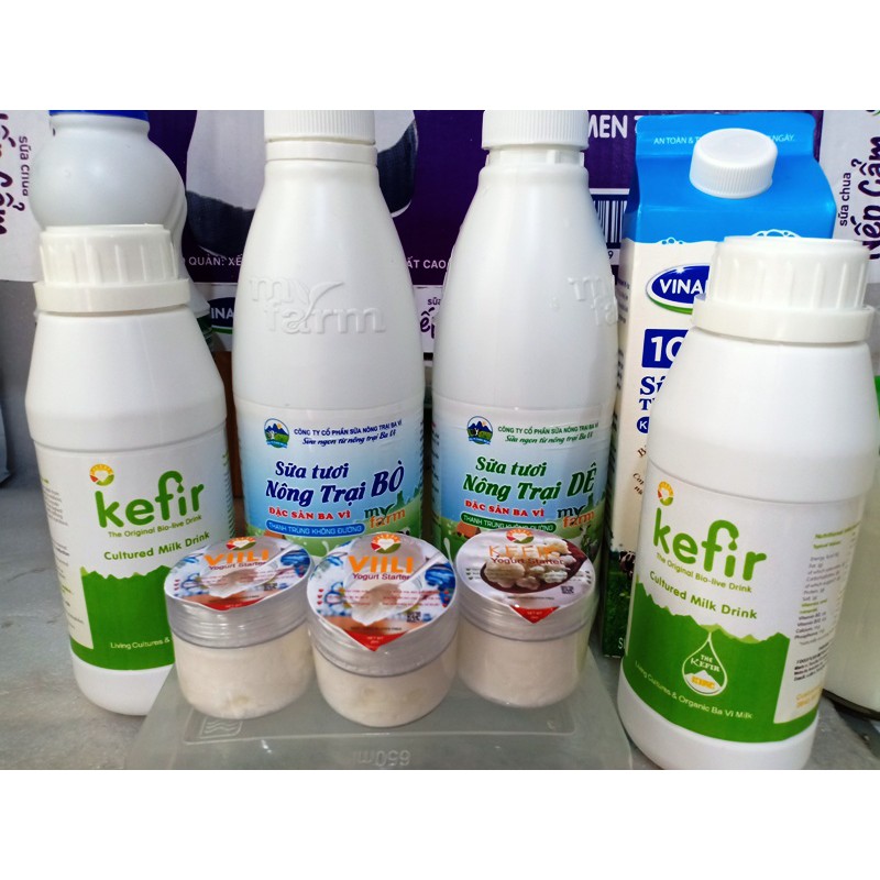 Men Sữa Viili Tươi - VIILI YOGURT STARTER - ORGANIC BA VÌ. Mua một lần dùng mãi mãi.