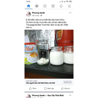 nấm  kefir