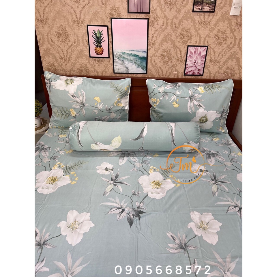 Bộ ga giường và 3 áo gối chất lụa tencel mát mịn không chăn được chọn mẫu