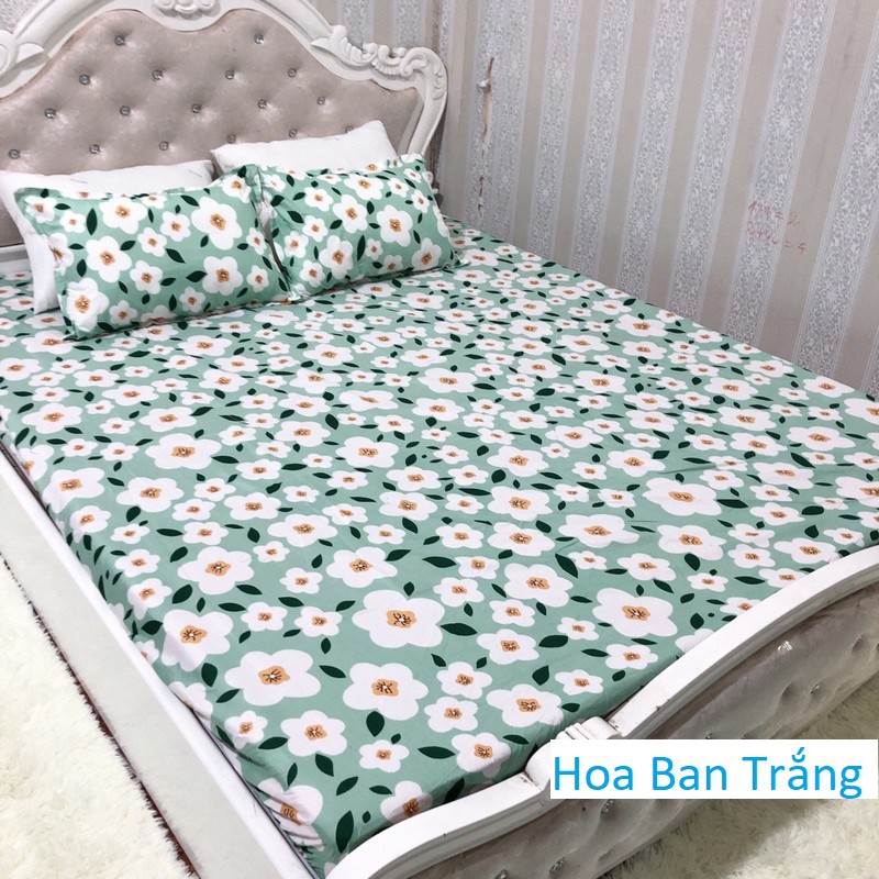 [Siêu khuyến mãi] Bộ 1 ga 2 Vỏ Gối Cotton Mẫu Mèo Cốc Hồng (chát chọn thêm mẫu)