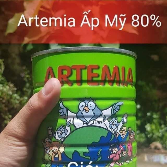 Artemia ấp nở mỹ (80%)