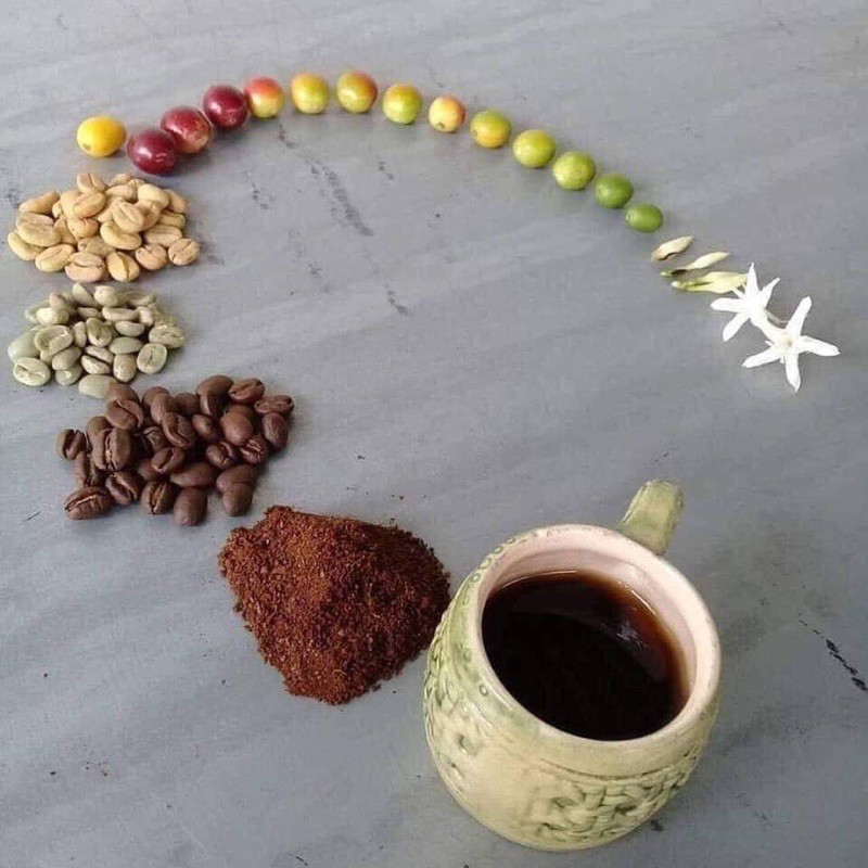 Cà Phê Robusta Nguyên Chất 100% Gói 500GR (Có Loại Hạt và Xay) | BigBuy360 - bigbuy360.vn