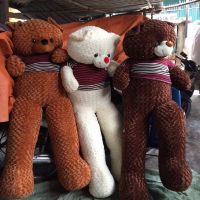 Gấu bông teddy khổ vải 2m2