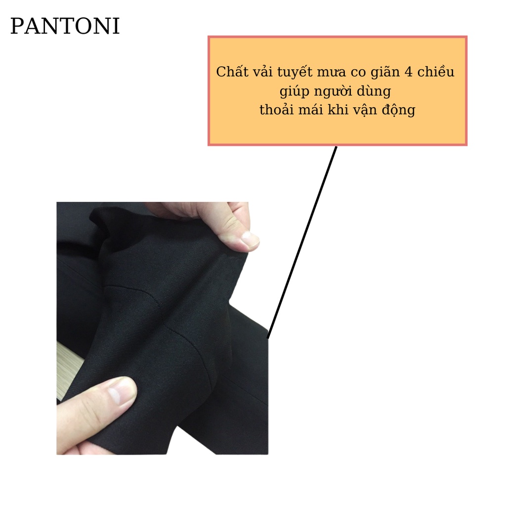 Quần baggy nam Pantoni thêu họa tiết con ong, Quần âu nam chất vải tuyết Hàn co giãn phân loại tây âu Premium thời trang