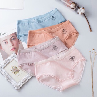 Quần lót nữ cotton màu xinh - Combo 3 chiếc