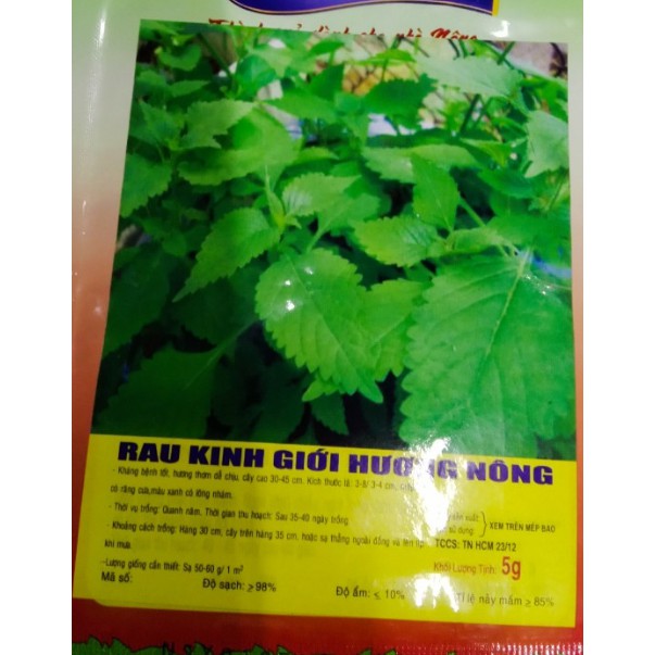 HẠT GIỐNG RAU KINH GIỚI - GÓI 1G