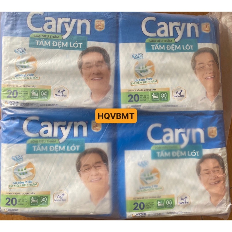 Combo 4 gói Tấm Đệm Lót Caryn size L10/L20/XL14 miếng