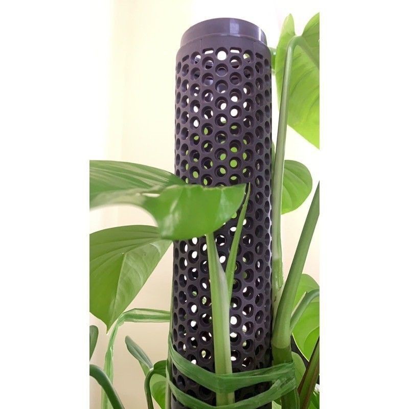 Trụ Cho Trầu Bà Leo/trụ Nối Cho Cây Leo