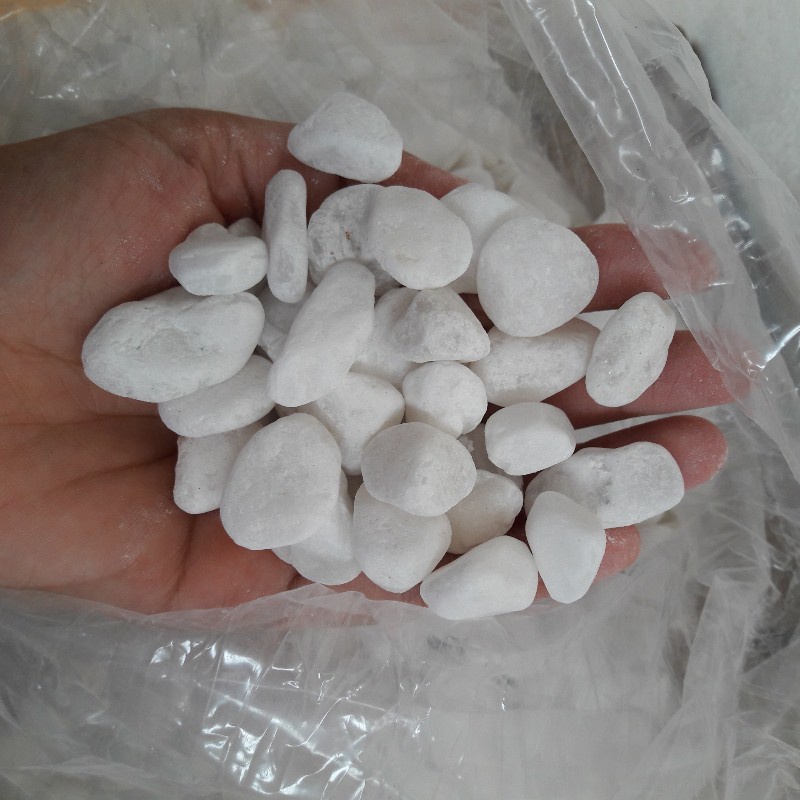 Sỏi đá trắng tự nhiên trang trí cây cảnh, sân vườn, hồ cá, cây kiểng