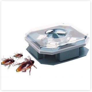 Hộp Bắt Gián Thông Minh