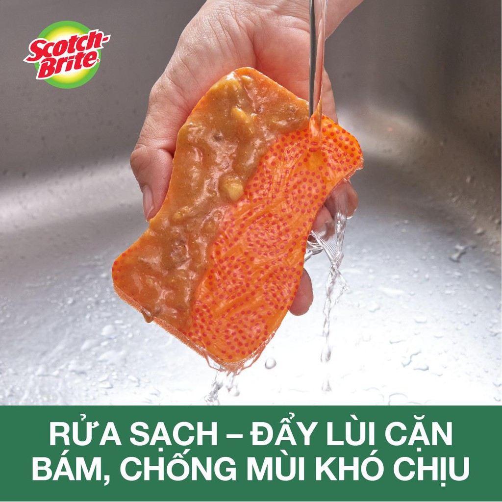 Gói 2 Miếng Cọ Rửa Hạt Nổi Không Trầy Xước Scotch-Brite 3M - 11.4 x 6.9 x 2.6 (cm) – Hàng Chính Hãng  HIBUCENTER