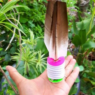 Cầu đá Kiểng Tia Chớp