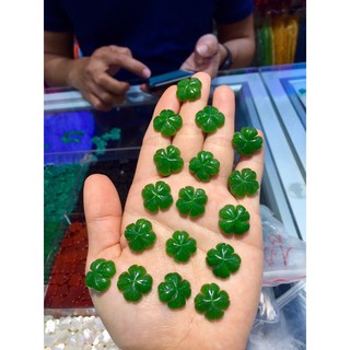 cỏ 4 lá may mắn