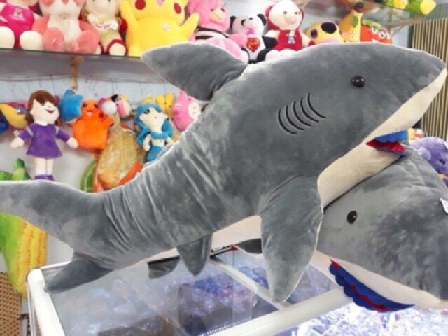 CÁ MẬP BABY SHARK SIZE 1M2