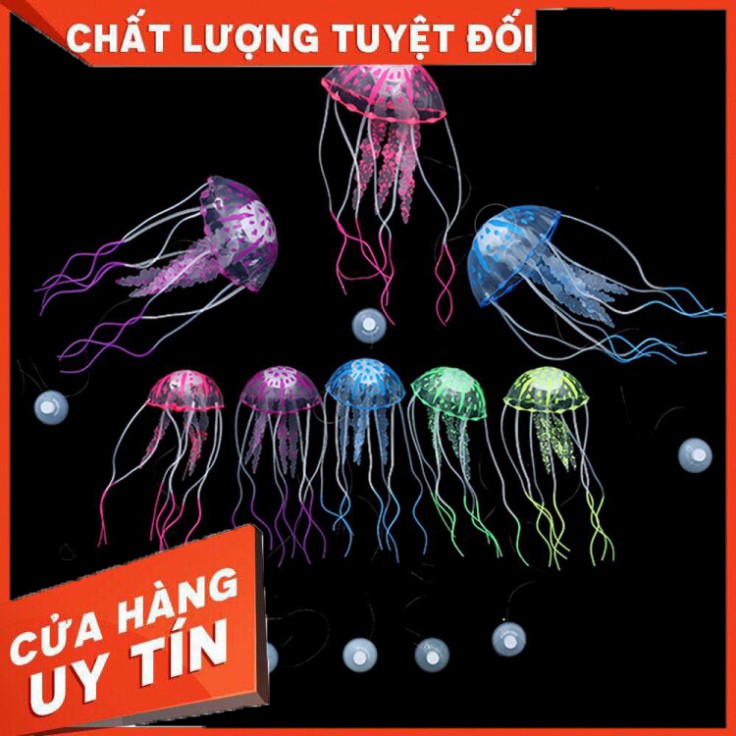 [FREE SHIP] Sứa Giả Bỏ Hồ Cá Nhiều Màu Sắc