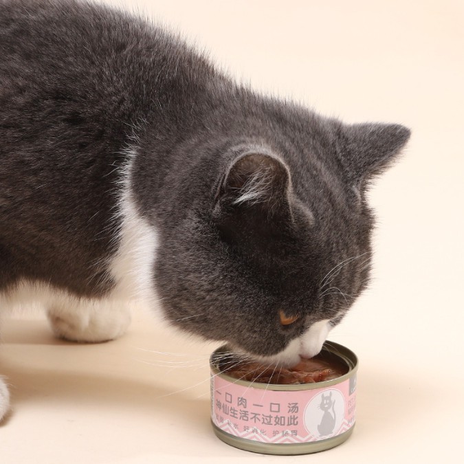 Pate dinh dưỡng LUSCIOUS cho mèo lon 80g