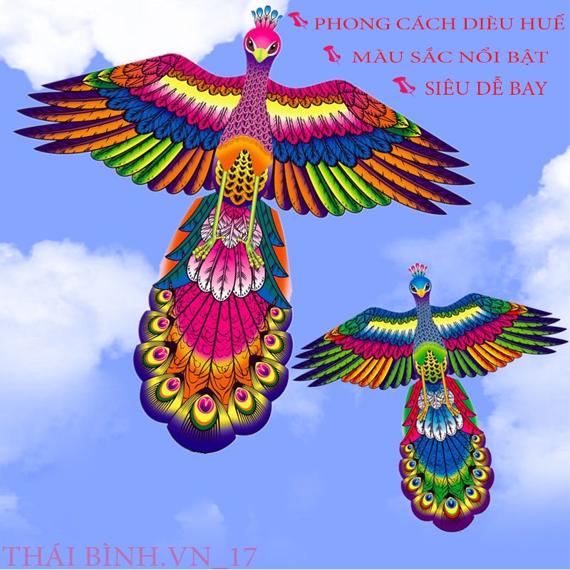 DIỀU CÔNG PHONG CÁCH XỨ HUẾ - DIỀU CỒNG SIỀU ĐẸP - THÁI BÌNH.VN_17