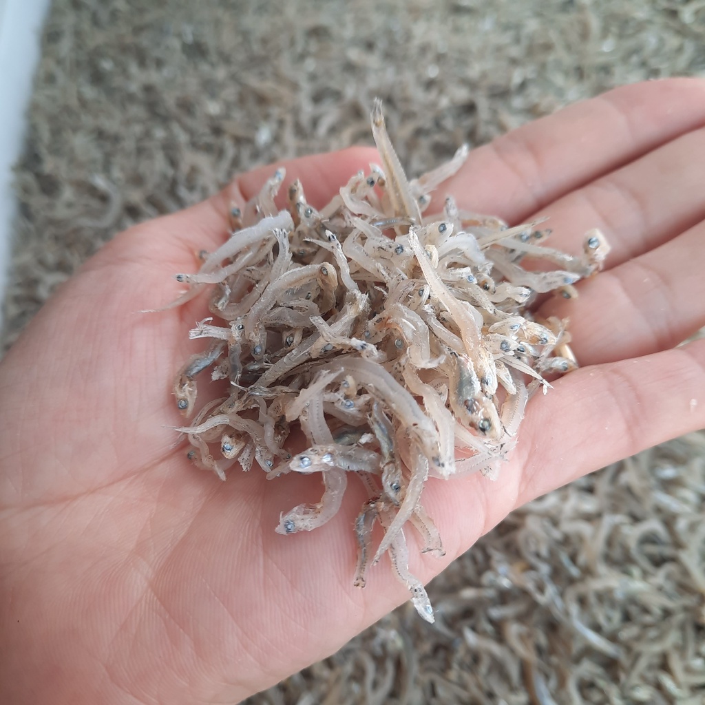 Cá cơm mờm sữa 1kg - Cá cơm khô đóng gói hút chân không