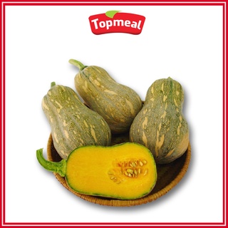 HCM - Bí đỏ hồ lô (450 - 600 g) - [Giao nhanh TPHCM]