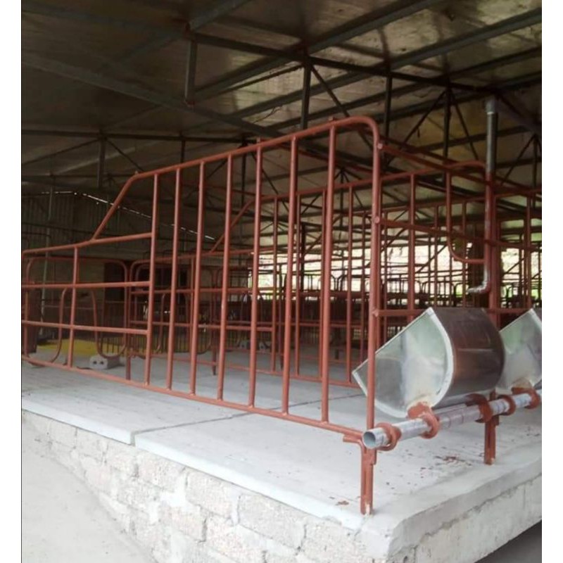 Máng lợn inox hình gàu bền đẹp